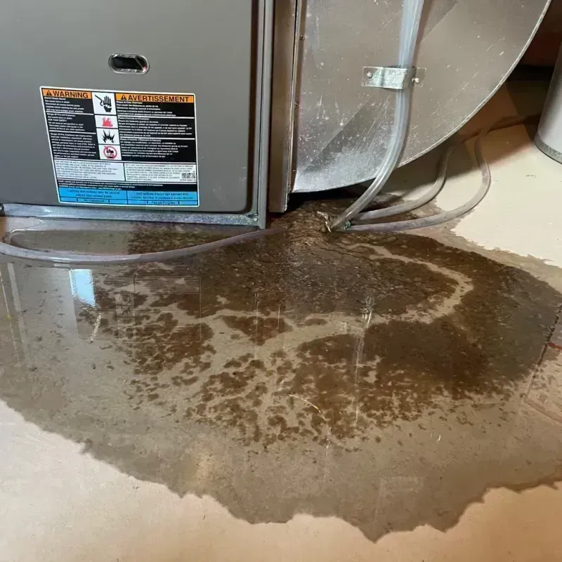 Appliance Leak Cleanup in Salisbury, MO